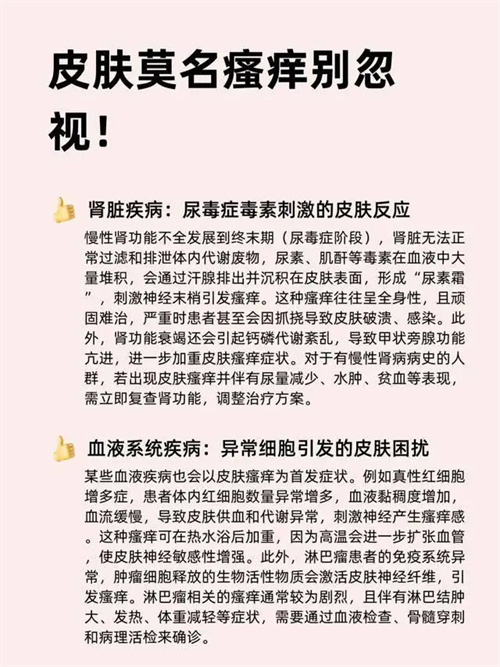 详细描述