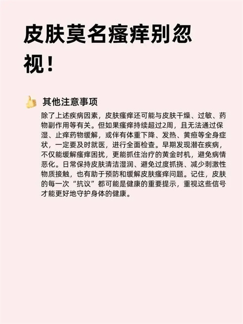 详细描述