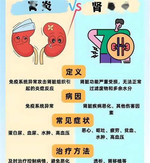 详细展示