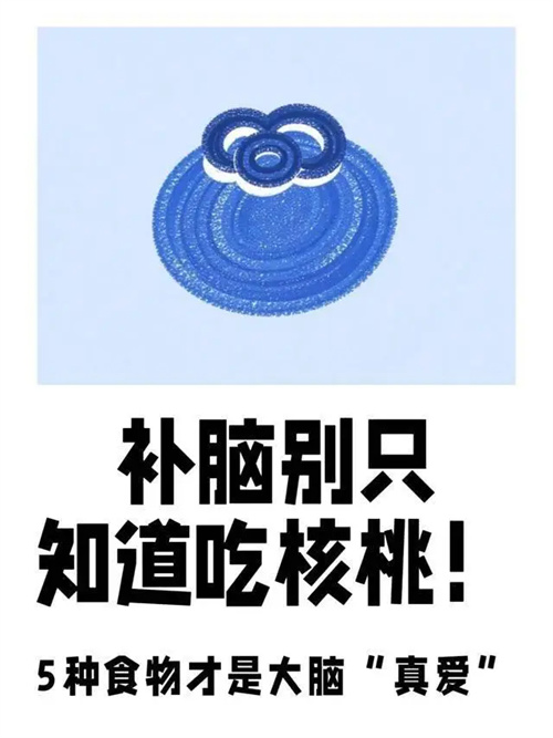 详细介绍