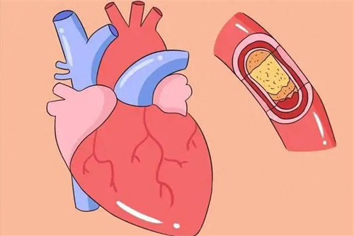 详细说明