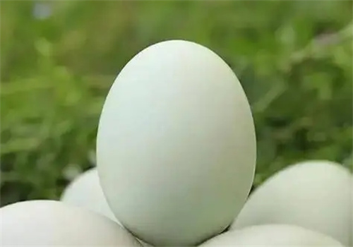 细节介绍