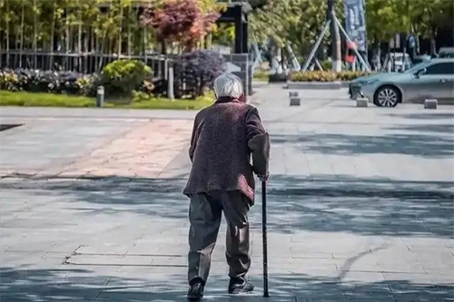 详细介绍