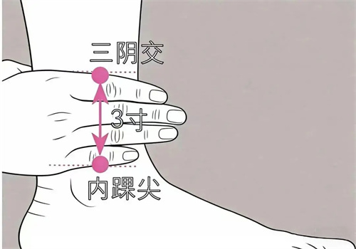 图片细节