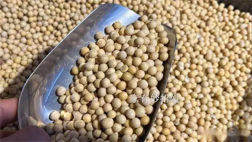细节呈现