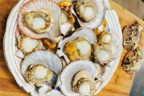 详细介绍