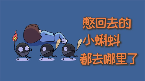 详细说明