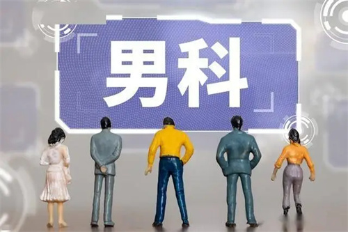 详细展示