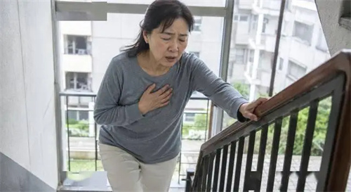 详细展示