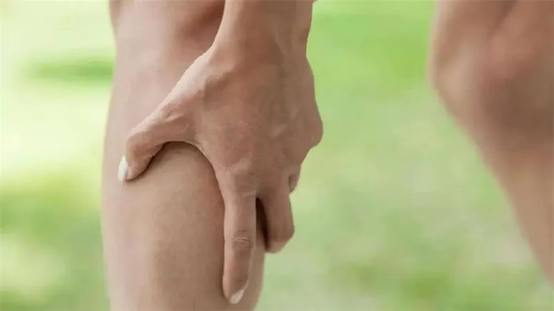 细节介绍